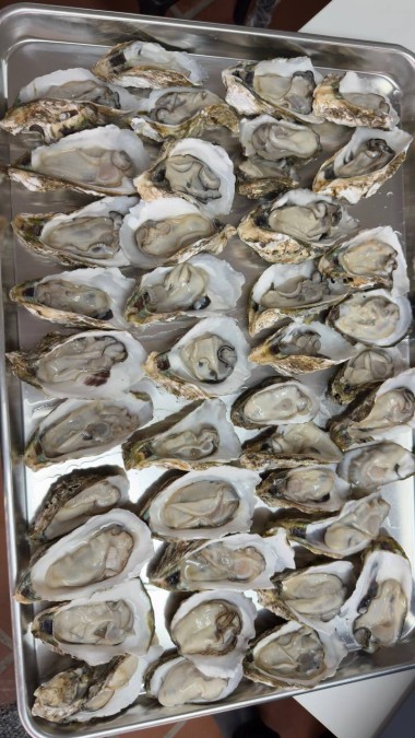 Cooking Training under the Hospitality Kampuchea (HoKa) Framework in Preah Sihanouk Province